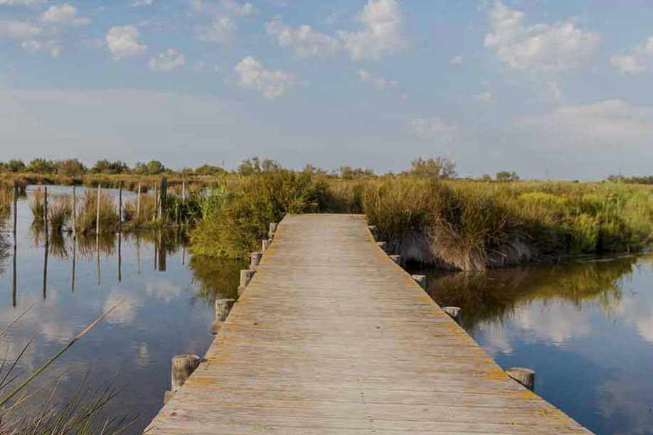 Camargue