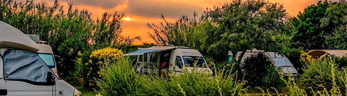 Camping en Camargue