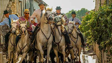 Les Gardians en Camargue