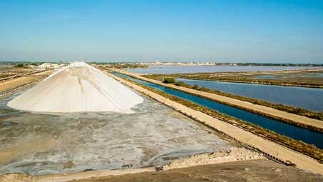 Les marais salants en Camargue