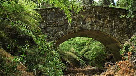 Bois des Espeisses à Nîmes