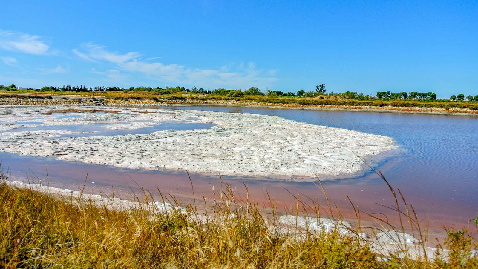 camping proche salin aigues mortes