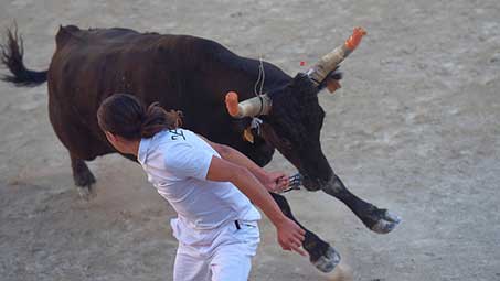 Courses de toros à Arles