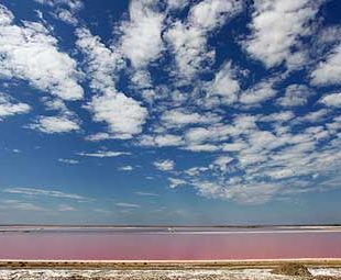 Découvrir les salins de giraud