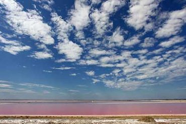 Découvrir les salins de giraud