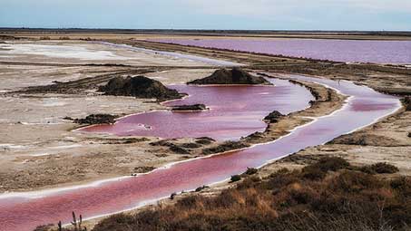 Découvrir les salins de giraud en camargue