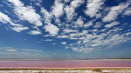 Découvrir les salins de giraud