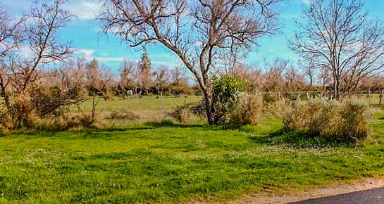 emplacement camping car camargue