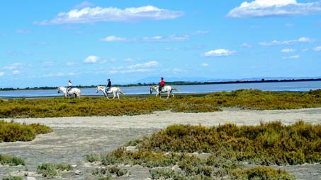 location camping activité équitation camargue