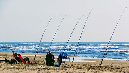 Pêche en Camargue