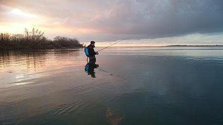 Pêcher en Camargue