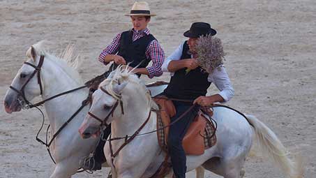 Spectacle de chevaux à Arles