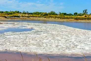 Vacances au Salin de Giraud