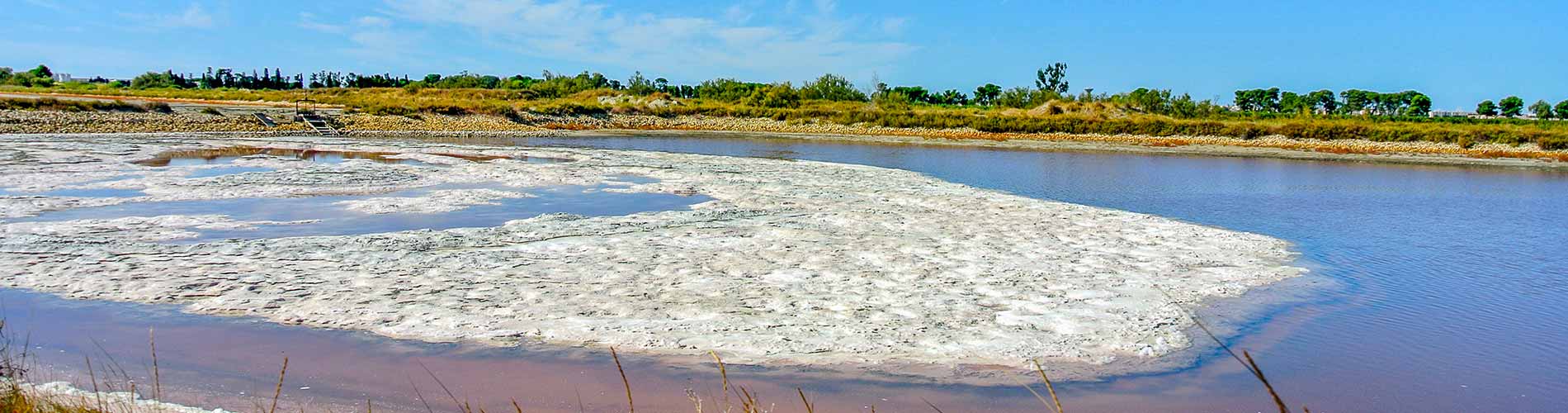 Vacances au Salin de Giraud