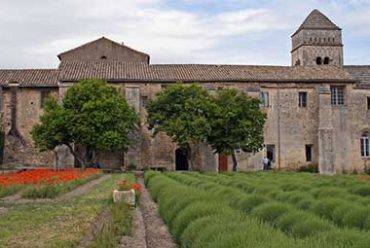 Visiter saint remy de provence