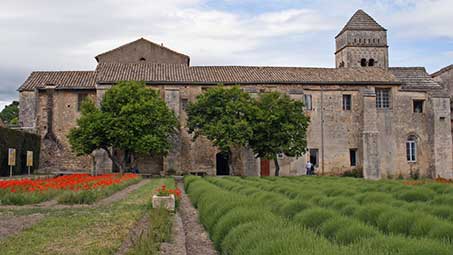 Visiter saint remy de provence