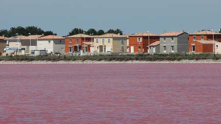 Visiter les salins de giraud