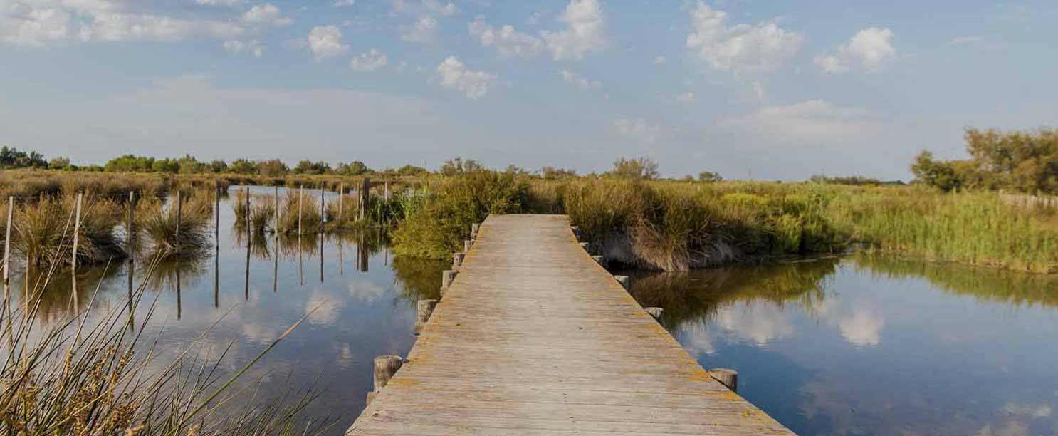 vacances camping en Camargue