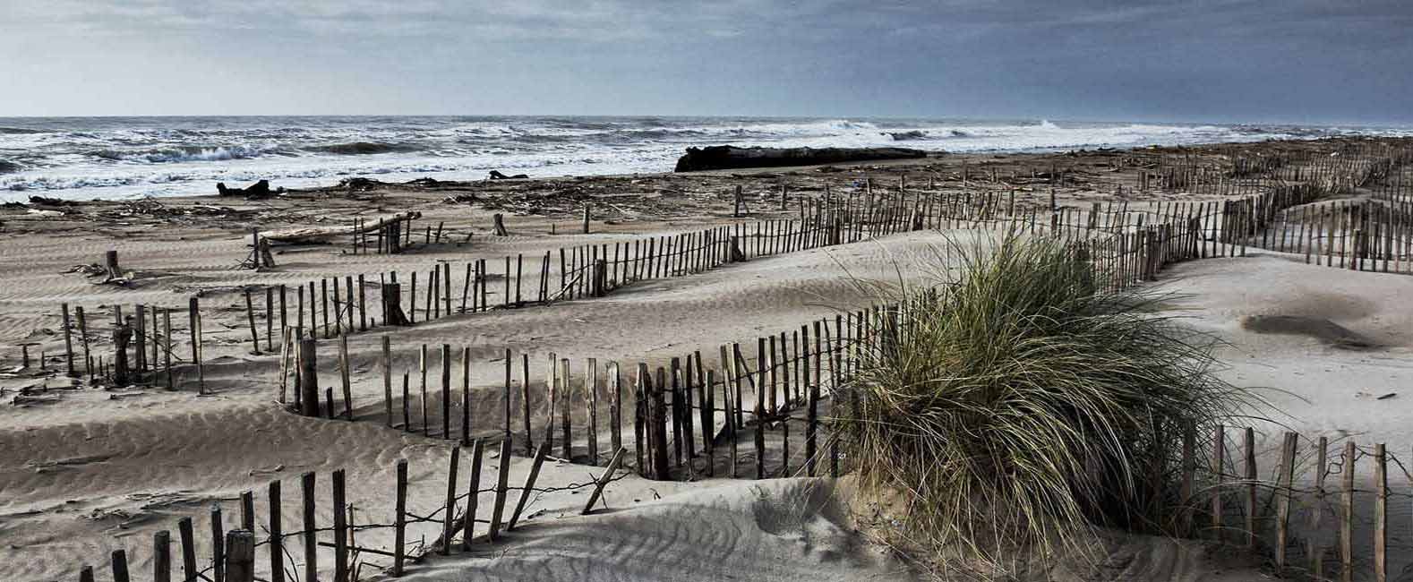 location vacances en Camargue