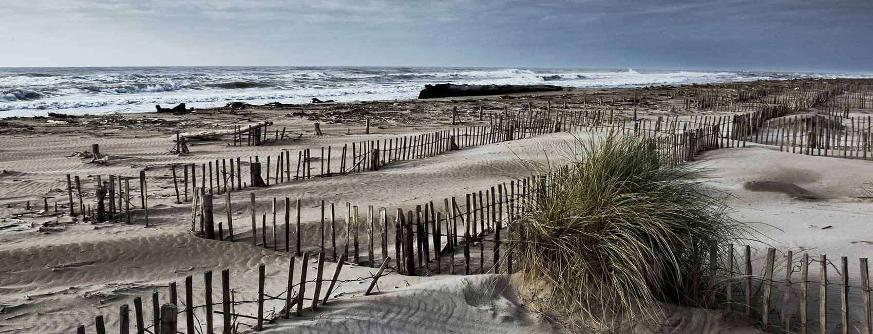 location vacances en Camargue
