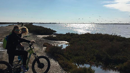 camping en camargue pour vélo