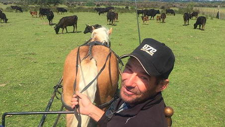 camping pour équitation en camargue