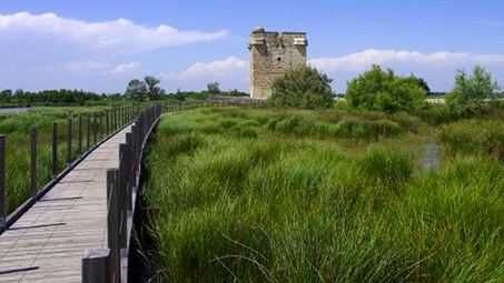 camping avec promenade en normandie