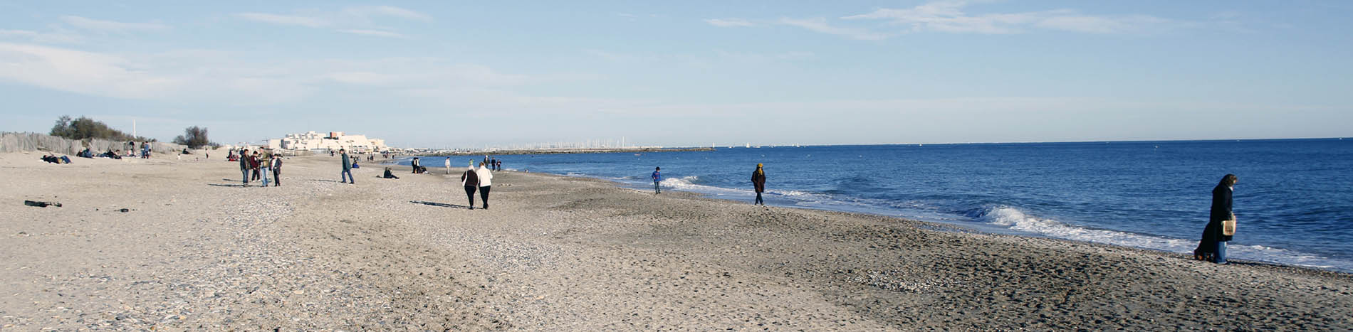 plage de la camargue