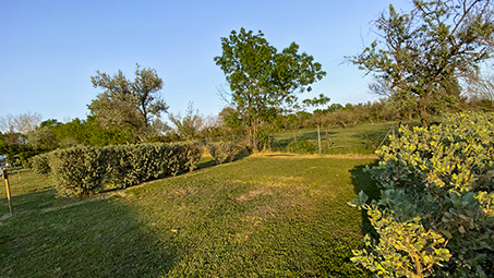 caravane camargue