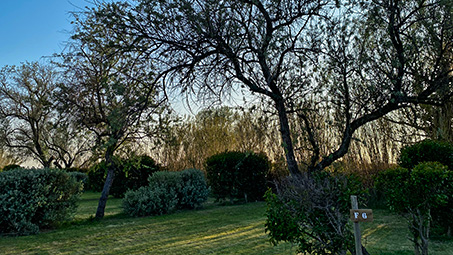 emplacement libre camargue