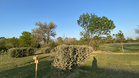 emplacement tente camargue