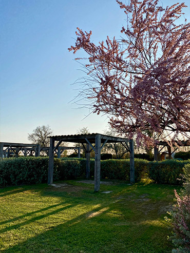 emplacement tonnelle camargue