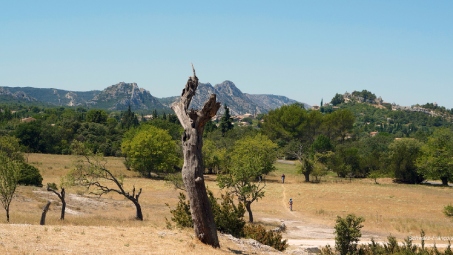 légendes alpilles