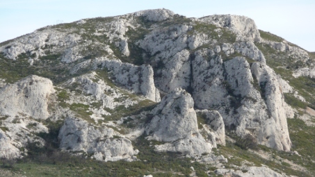 parc des alpilles