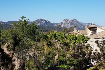 parc régional des alpilles