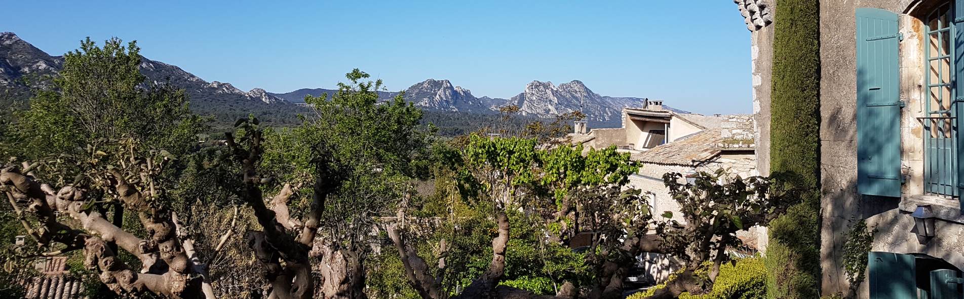 parc régional des alpilles