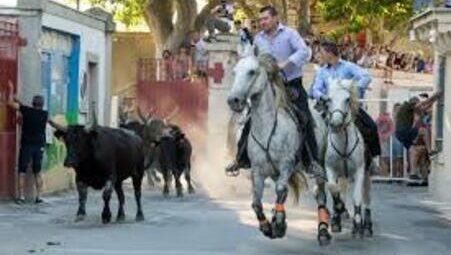 le cailar le cailar