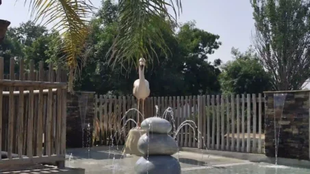 piscine extérieure chauffée avec jet d'eau