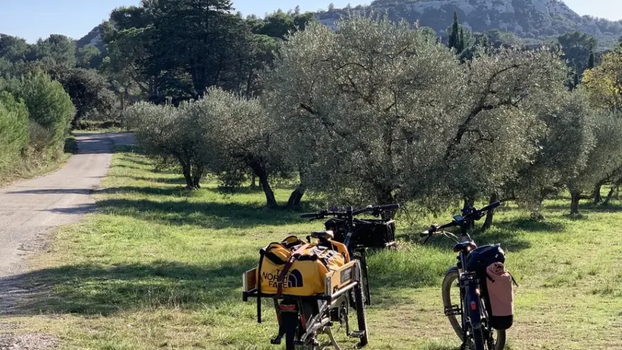 Vélos sous les oliviers Vélos chargés de sacoches sous les oliviers dans les Alpilles